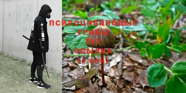 герыч Семилуки